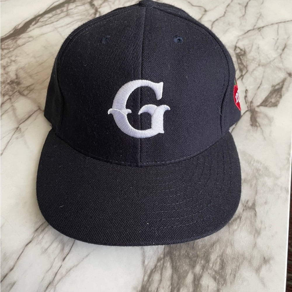 Garden & Seeds navy blue hat w/ white logo nyc 🍎 graphic on side - adjustable